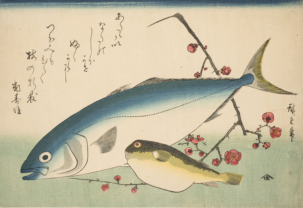 Zwei Fische und ein blühender Pflaumenzweig, Utagawa Hiroshige, Japan, um 1837, Inv.Nr. B31887, C.jpg